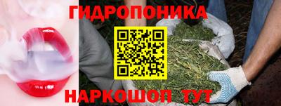гидра Краснодар