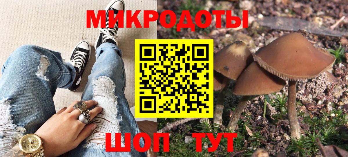 Псилоцибиновые грибы мухоморы  Вход с VPN  Галлюциногенные грибы Magic Shrooms  купить наркотик  Кировск 
